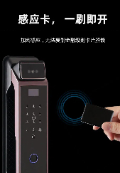 3D人臉全自動(dòng)智能鎖-6591