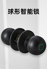 3115球形指紋鎖